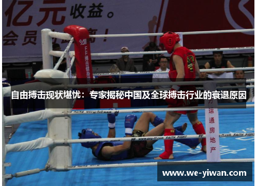 自由搏击现状堪忧：专家揭秘中国及全球搏击行业的衰退原因