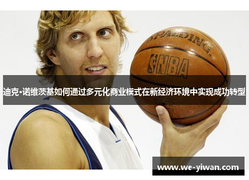 迪克·诺维茨基如何通过多元化商业模式在新经济环境中实现成功转型