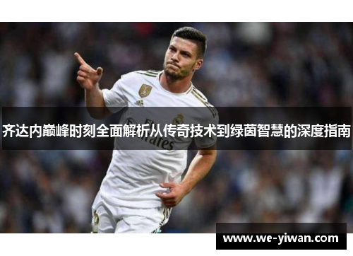 齐达内巅峰时刻全面解析从传奇技术到绿茵智慧的深度指南