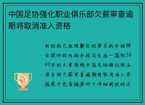 中国足协强化职业俱乐部欠薪审查逾期将取消准入资格
